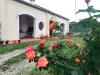 Villa in vendita con giardino a Massignano - 06, Foto 6