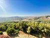 Appartamento in affitto a Agrigento - 03, 03.jpeg
