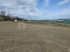 Terreno Agricolo in vendita a Belvedere Ostrense - 04, 11436 (19).jpg
