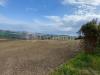 Terreno Agricolo in vendita a Belvedere Ostrense - 08, 11436 (8).jpg