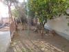 Casa indipendente in vendita con giardino a Palo del Colle - posta - 04