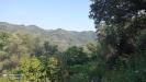 Terreno Agricolo in vendita a Dolceacqua - 04, Foto 4