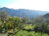 Casa indipendente in vendita a Perinaldo in localita' alpicella loc - 06, Foto 7