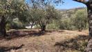 Terreno Agricolo in vendita a San Biagio della Cima - 10, Foto 10