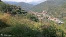 Terreno Agricolo in vendita a Dolceacqua - 07, Foto 7