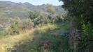 Terreno Agricolo in vendita a Dolceacqua - 02, Foto 2