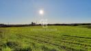 Terreno Agricolo in vendita a Ardea in via laurentina angolo via di castagnetta - 02, Foto 2