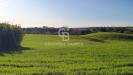 Terreno Agricolo in vendita a Ardea in via laurentina angolo via di castagnetta - 06, Foto 6