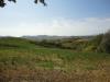 Terreno in vendita a Serra de' Conti - 06