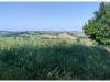 Terreno in vendita a Serra de' Conti - 02