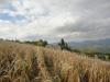 Attivit commerciale in vendita con box doppio in larghezza a Poggio San Marcello - 03