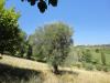 Rustico in vendita con giardino a Cupramontana in via cese - 05, Foto 15