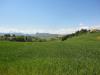 Terreno Agricolo in vendita a Poggio San Marcello - 03, Foto 3