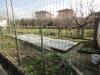 Appartamento in vendita con giardino a Jesi in via spina - 04, Foto 4
