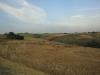 Terreno Agricolo in vendita a Poggio San Marcello in coste - 06, Foto 7