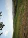 Terreno Agricolo in vendita a Serra de' Conti in colle ravara - 04, Foto 4