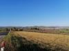 Terreno Agricolo in vendita a San Paolo di Jesi in contrada coste - 05, Foto 5