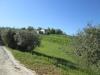 Rustico in vendita con giardino a Cupramontana in via forcone 1 - 06, Foto 7