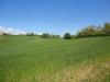 Terreno Agricolo in vendita a Poggio San Marcello - 06, Foto 6