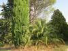 Villa in vendita con giardino a Cupramontana in via torre 26/a - 04, Foto 4