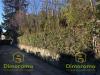 Terreno in vendita a Pino Torinese in pino torinese via madonna di fatima 1 - 05