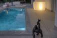 Villa in vendita con giardino a Savona in via scotto 27 - 06, Foto 6