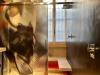 Appartamento bilocale in affitto con giardino a Milano in via giorgio washington 12 - 09, Foto 9