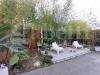 Villa in vendita con giardino a Marino - 08, 20240315_162237 1.jpg