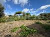 Villa in vendita a Marino - 08, WhatsApp Image 2026-09-17 at 12.53.56 (3).jpeg