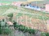 Terreno Agricolo in vendita con giardino a Partinico in contrada calatubo - 10