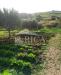 Terreno Agricolo in vendita con giardino a Alcamo in statale 113 - 02