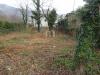 Casa indipendente in vendita da ristrutturare a Avella - 04, Foto 4