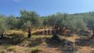 Terreno Agricolo in vendita a Avella - 05, Foto 5