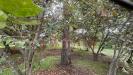 Terreno Edificabile in vendita a Sperone - 04, Foto 4