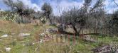 Terreno Agricolo in vendita a Mugnano del Cardinale - 02, Foto 2
