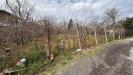 Terreno Agricolo in vendita a Mugnano del Cardinale - 09, Foto 9