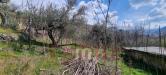 Terreno Agricolo in vendita a Mugnano del Cardinale - 03, Foto 3