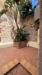 Appartamento monolocale in affitto arredato a Palermo - 07, WhatsApp Image 2026-05-09 at 12.20.33 (7).jpeg