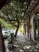 Appartamento in affitto a Palermo - 06, WhatsApp Image 2026-09-10 at 11.24.30 AM (12).jpeg