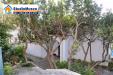 Casa indipendente in vendita con giardino a Anacapri in salita ceselle - 02