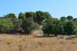 Terreno Agricolo a Avola - c.da sant'elia - 03