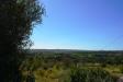 Terreno Agricolo a Noto - 08