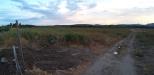 Terreno Agricolo in vendita a Corigliano-Rossano in contrada zolfara - 02, Foto 2