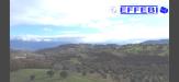 Terreno Agricolo in vendita a Bisignano in contrada marinella - 06, Foto 6