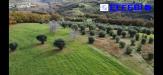 Terreno Agricolo in vendita a Bisignano in contrada marinella - 07, Foto 7