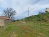 Terreno Agricolo in vendita a Luzzi - 06, Foto 6