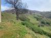 Terreno Agricolo in vendita a Luzzi - 05, Foto 5