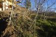 Terreno Edificabile in vendita a Serra Pedace in via donato bendicenti - 03, Foto 3