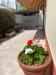 Casa indipendente in vendita con giardino a Viareggio in via maroncelli 10 - 04, Foto 4