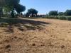 Terreno Agricolo in vendita a Bastia Umbra - 06, WhatsApp Image 2024-07-19 at 10.39.23 (5).jpeg